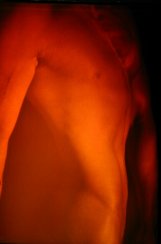 Picture of Male Torso